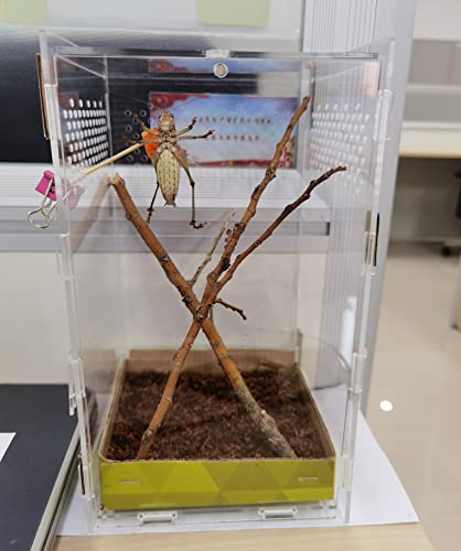 AWXZOM Magnetic Acrylic Case, micro habitat small Tarantula Enclosure enclosure for arboreal Tarantula Scorpion Sling Lizards Mantis Snake Gecko jumping spider snail Insect Isopods (4.7*4.7*7.8 inch) - size: 4.7*4.7*7.8 inch