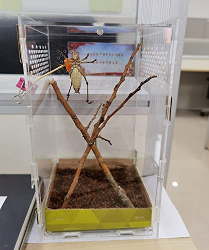 AWXZOM Magnetic Acrylic Case, micro habitat small Tarantula Enclosure enclosure for arboreal Tarantula Scorpion Sling Lizards Mantis Snake Gecko jumping spider snail Insect Isopods (4.7*4.7*7.8 inch) - size: 4.7*4.7*7.8 inch
