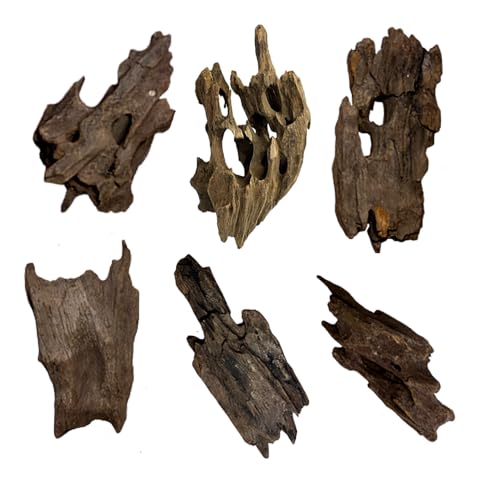 6 PCS Honeycomb Driftwood, 4-6 Inch Natural Large Aquarium Driftwood Branches, Assorted Fish Tank Reptile Terrarium Decor Shrimp Habitat Ornament - color: Honeycomb Driftwood 4 - 6IN