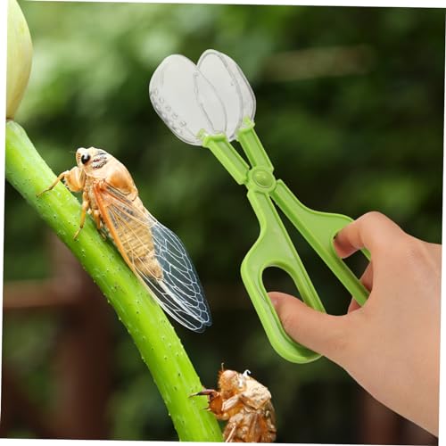Toddmomy Reptile Feeding and Cleaning Tool Multi-Functional Poop Scoop Clamp for Aquariums Safe Clip for Easy Feeding and Waste Removal Reptile Tanks Green