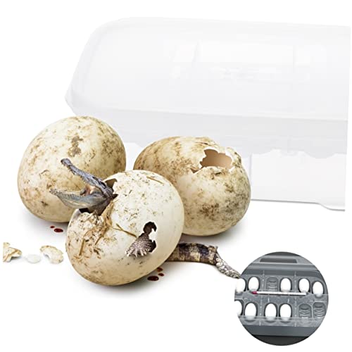 Kisangel Reptile Tank Accessory Hatching Incubation Box Breeding Box Reptile Substrate Tray