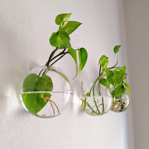 Hanging Wall Planters Pack of 6 Glass Plant Pots Round Wall Vases for Flowers Hanging Propagation Station Glass Plant Holder Wall Terrariums Plant Container