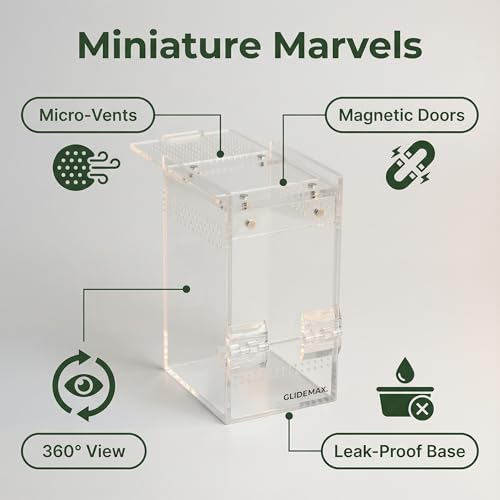 Jumping Spider Enclosure - 3x3x6 Acrylic Tarantula Enclosure Reptile Habitat with Front & Top Magnetic Doors, 0.04" Ventilation Holes Pre-Assembled Terrarium for Spiders, Mantis, Snails, Lizards - size: 3x3x6inch