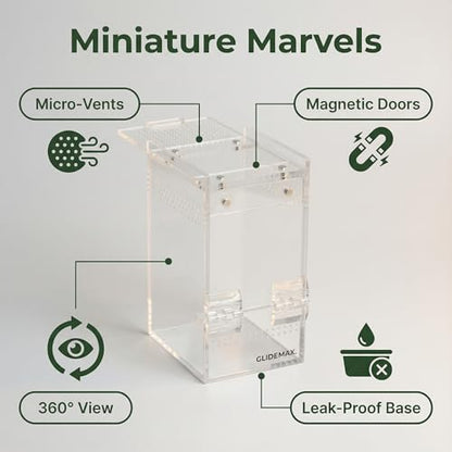 Jumping Spider Enclosure - 3x3x6 Acrylic Tarantula Enclosure Reptile Habitat with Front & Top Magnetic Doors, 0.04" Ventilation Holes Pre-Assembled Terrarium for Spiders, Mantis, Snails, Lizards - size: 3x3x6inch