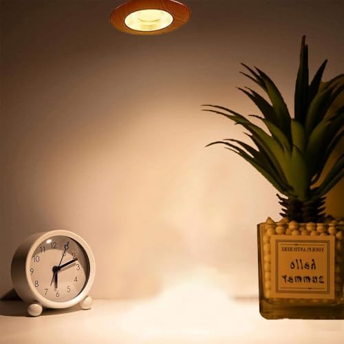 4 Packs 50W Bulb UVB UVA Reptile Light Bulb for Reptiles and Amphibians Use for Turtle, Bearded Dragon, Lizard Cages Heat Lamp Replacement Bulb,Works with Various Lamp Fixtures.