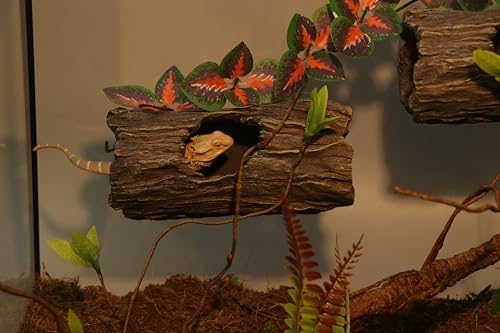 AQUA KT Reptile Tree Trunk Hideout Hollow Log Sleeping Cave for Arboreal Crested Leopard Gecko Lizard Climbing Toys Terrarium Decoration