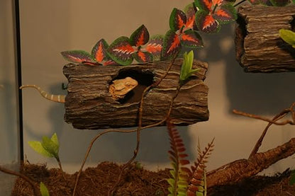 AQUA KT Reptile Tree Trunk Hideout Hollow Log Sleeping Cave for Arboreal Crested Leopard Gecko Lizard Climbing Toys Terrarium Decoration