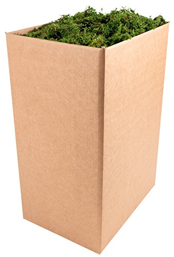 SuperMoss (25327) Forest Moss Preserved, Fresh Green, 10 Pounds - color: Fresh Green, size: 4,950 cu in