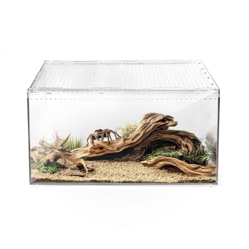 AZV Large and XLarge Reptile Terrarium Tank,Versatile Enclosure for Leopard Crested Gecko,Lizard Cage,Spider Starter Kit,Hermit Crab Habitat,Tarantula Cribs,Perfect Aquarium for Frogs,Insects