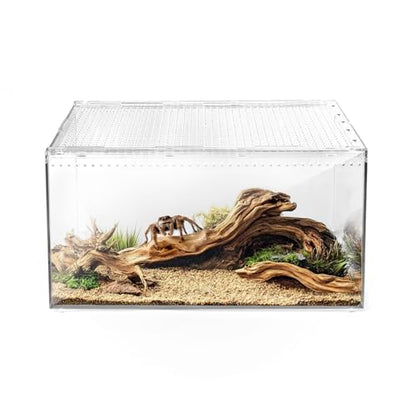 AZV Large and XLarge Reptile Terrarium Tank,Versatile Enclosure for Leopard Crested Gecko,Lizard Cage,Spider Starter Kit,Hermit Crab Habitat,Tarantula Cribs,Perfect Aquarium for Frogs,Insects