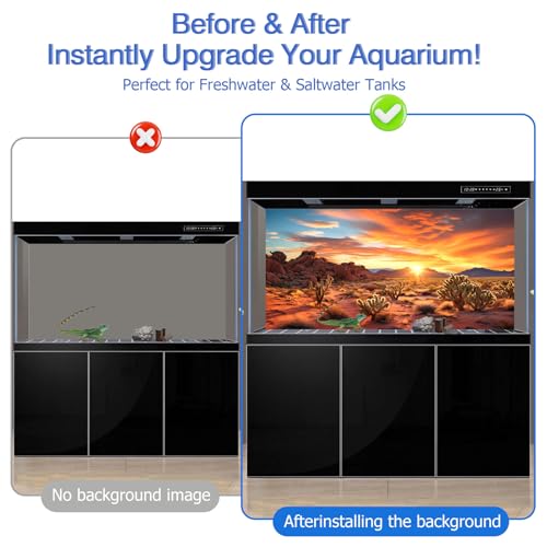 Reptile Background Film, Static Cling, Glue-Free, Desert, 11.8"H×23.6"W | No Glue Static Cling • Spray Water to Apply • Realistic Desert Scene • Natural Terrarium Look • Reusable • Easy Trim - size: 11.8 X 23.6 Inches
