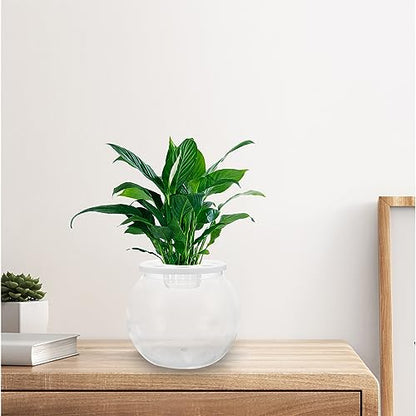 Toddmomy Fish Bowl Plastic Tabletop Fish Tank for Shrimp Reptiles Easy Maintenance Aquarium for Home Office Decorative Use Fall Resistant Design