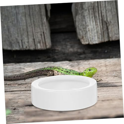 VANZACK 4pcs Reptile Food Dish Set Thick Feeding Bowls for Lizard and Reptiles Medium Round Shape Easy to Clean Stable Base for Food and Water Storage