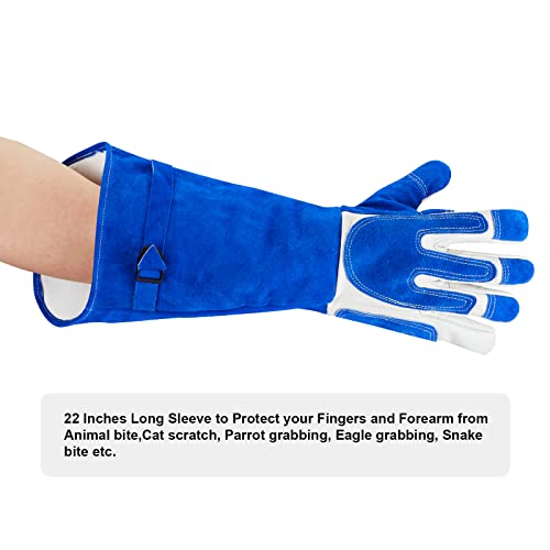 AOWPFVV Animal Handling Gloves Bite Proof for Dogs,Cats, 23.6in Large | Falconry,Birds,Snake,Reptile,Vets, Groomers & Animal Control - color: Pet Grooming Gloves