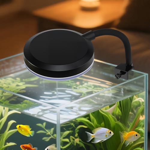 Clip On Aquarium Light 8W LED Fish Tank Light with Full Spectrum & Dimmable Brightness Timing USB Moving Aquarium Lamp for 1-5 Gallon Betta Fish Tanks - color: Clip Light(Dimmer and Timmer)