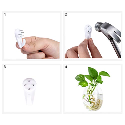 Kingbuy Egg Shaped for Propagating Hydroponic Plants 2 Pack Wall Planter | Borosilicate glass, clear & durable. Egg-shaped wall-mounted vases. Ideal for hydroponics, air plants, cuttings. Great gift. - color: Ellipse Shape