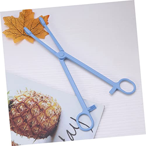 Toddmomy 2pcs Strong Tension Spring Reptile Poop Scooper Reptile Scooper for Tortoise Hamster Lizards Birds Cleaning Tool