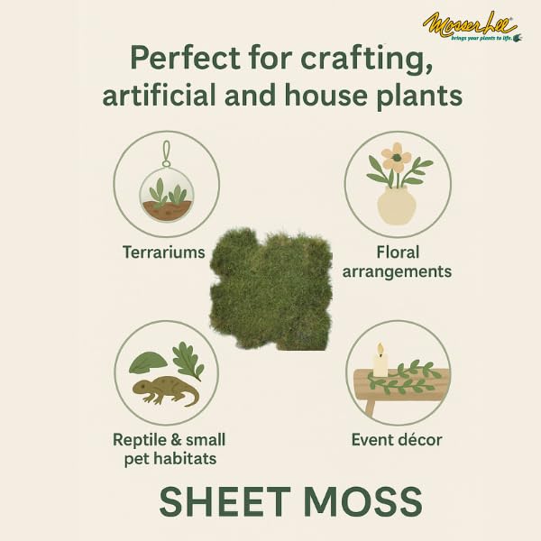 Mosser Lee ML0480 Natural Green Sheet Moss – 520 sq. in. – Organic Decorative Moss for Terrariums, Planters, Crafts & Moisture Retention - style: 520 Sqaure Inch