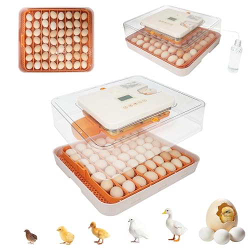 Nest IV - 56 Egg Incubator for Breeders, Fully Automated, Accurate Humidity & Temp Control, Chick Separator, Flexible Egg Spacing, Custom Incubation Days, Auto Turning & Auto Stop, Easy Monitoring - size: 56 Egg [Gray]