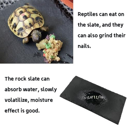 Reptile Basking Platform Tortoise Rock Plate 9.8’’x4.7’’ Feeding Food Bowl Slate Dish Turtle Bathing Resting Terrace for Lizard Bearded Dragon Chameleon Gecko Snake Frog Newt - size: 9.8x4.7inch-rectangle(1pcs)