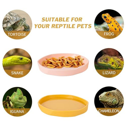 4 Pack Small Reptile Food Dish Bowl, Plastic Worm Water Dish Plate | Reptile Food Bowls for Lizard Gecko Bearded Dragon Chameleon 4" W x 4" D x 0.5" H, Blue and Yellow - color: Blue and Yellow