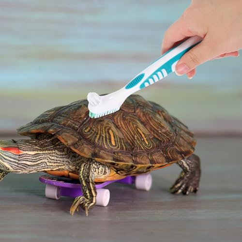 UPKOCH 2pcs Aquatic Turtle Shell Cleaning Brush Portable Mud and Dirt Remover for Tortoise Tanks and Reptile Habitats Household Use
