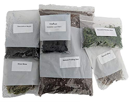 Hirt's Gardens Terrarium Kit - Create Your Own Living Terrarium