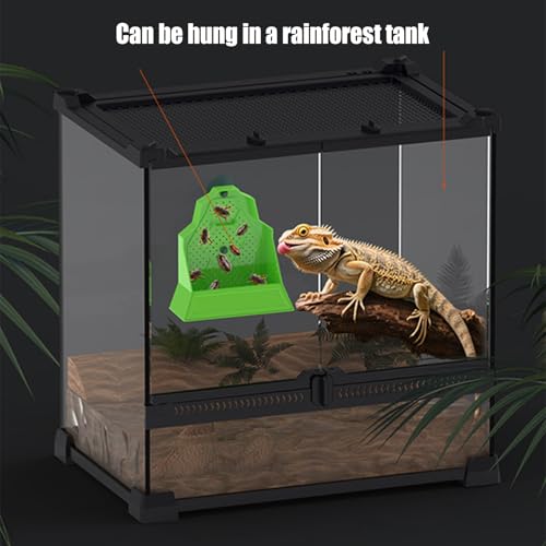 Reptile Feeder Reptile Feeding Dish | Tank Accessories, Anti-Escape Hunting Bowl for Chameleon Frog Snake Spider Amphibian Tortoise Gecko