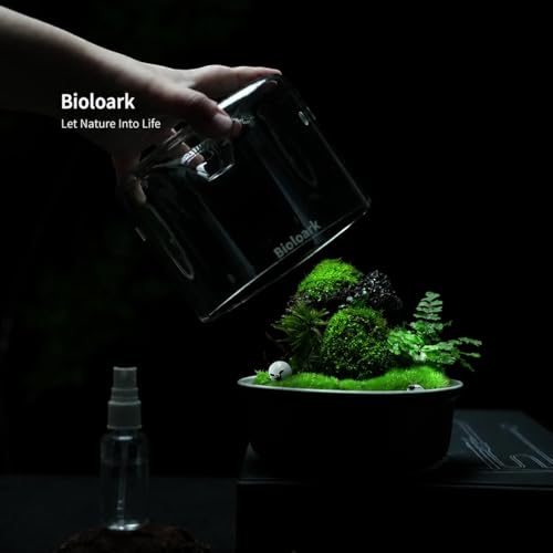 Bioloark MY-150K Glass Plant Terrarium with Ceramic Base, 6.4” x 6.7” White, Moss Terrarium Container with Clear Glass Cover, Ventilation Holes, Moisture Cycle Lid for Ferns, Succulents & Small Plants - color: MY-150K (6.4 "X6.7")White