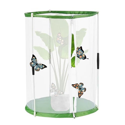 M METERXITY Butterfly Habitat Cage Terrarium, Outdoor Collapsible Mesh Pop-up with Zipper Protection for Breeding Butterfly/Ladybug, Mesh Plant Enclosure [White with Green, 12 x 12 x 16 Inch] - size: 12 x 12 x 16 Inch