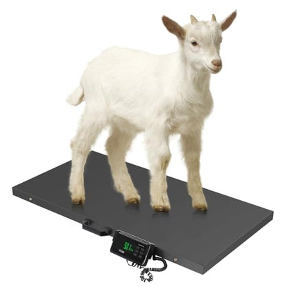 TUFFIOM 1100Lbs x 0.2Lbs Postal Digital Shipping Livestock Scale, Electronic Stainless Steel Platform Heavy Duty Vet Animal Floor Scale,Dog Puppy Pig Goat Sheep Scale, Black - color: Black