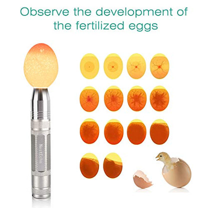 Egg Candler Light Tester Egg Candler Tester Candling Lamp for All Egg Typy