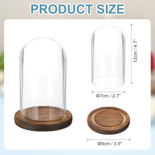 uxcell Glass Cloche Display Dome, 4.7" x 2.7" Glass Dome Display Case, Wood - size: 4.7" x 2.7"