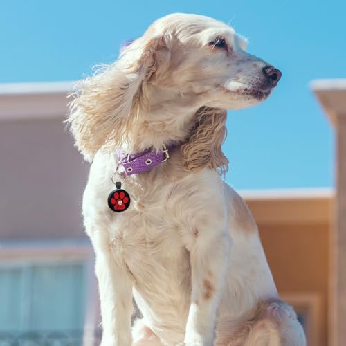 MYLUCKYTAG QR Code Pet ID | Personalized Dog & Cat Collar Tag | Online Profile with Instant Scanned Location Alert Email - style: Red Paw