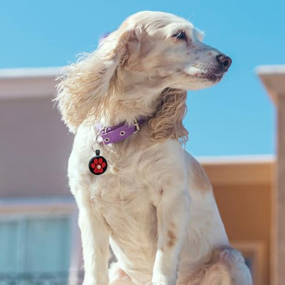 MYLUCKYTAG QR Code Pet ID | Personalized Dog & Cat Collar Tag | Online Profile with Instant Scanned Location Alert Email - style: Red Paw