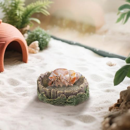 Mygeromon Reptile Water Dish Hermit Crab Food Bowl Small for Tank Feeding | 2 Pack, Resin