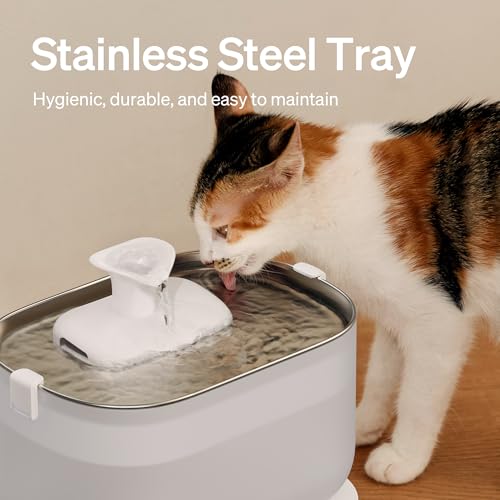 PETLIBRO Cat Water Fountain, Cat Fountain Indoor Stainless Steel Tray, 2.5L/84oz Wireless Pump Pet Water Fountain, Cat Water Dispenser with Two Flow Modes, Pet Fountain for Drinking Easy Clean - color: White, size: Fountain