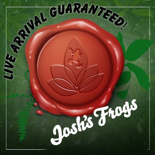 Josh's Frogs Hornworms Habitat Cup (12 Count Cup) - size: 12 Count (Pack of 1)