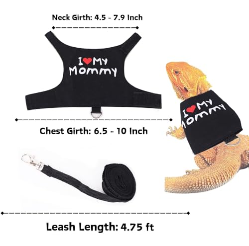 Small Animal Travel Backpack Carrier,Portable Bearded Dragon Bag for Sugar Glider,Hedgehog,Rat,Bunny,Rat,Outdoor Used (Black, Carrier L+ I Leash) - color: Black