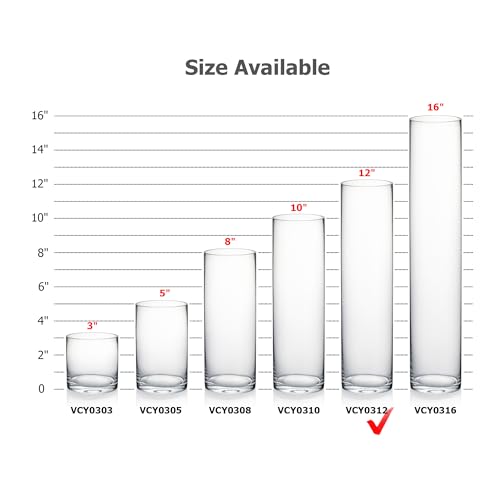WGVI Quality Thick Weighted Clear Cylinder Glass Vases, 3" W x 12" H, Skinny Bud Vase Narrow Floral Bouquet Flower Arrangements Storage Container Candle Holders Decorative Accents, 1 Piece - size: 3"x12"H