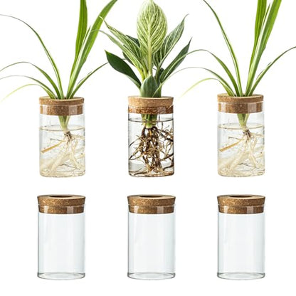 Glass Plant Propagation Station Set of 6, Modern Desktop Flower Vase for Succulent Cuttings, Home Office Decoration, Ideal Housewarming Gift for Living Room, Bedroom