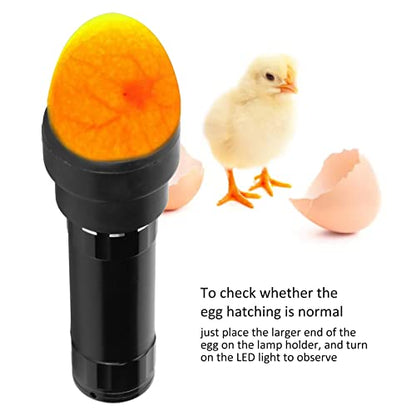 GLOGLOW Egg Candler, Bright LED Light Egg Candler Tester with Lanyard for Chickens, Ducks, Geese, Portable and Adjustable Egg Monitoring for Farmers, Hobbyists, Researchers, Educators
