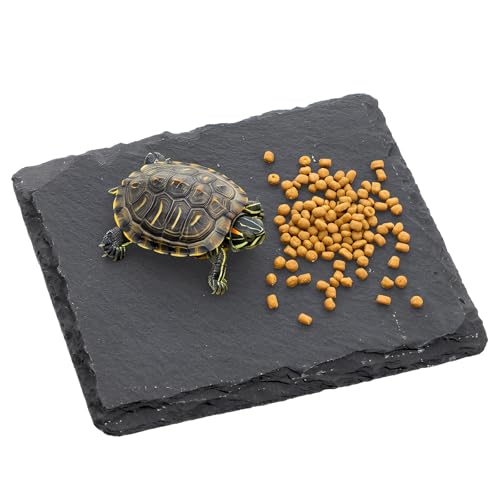 Turtle Basking Platform Slate for Reptiles 3.9 X 3.9 Inch Tortoise Basking Stone for Reptiles Bearded Dragon Accessories for Lizards, Chameleons, Geckos, Turtles, Reptile
