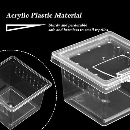 30 Pcs Insect Spider Terrariums Transparent Breeding Box Plastic Hatching Container for Tarantula Spider Scorpion Centipede Mantis