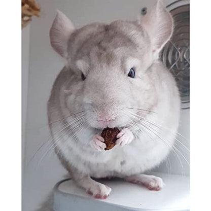 Exotic Nutrition Dried Rose HIPS (3 oz.) - Healthy Natural Treat - Chinchillas, Guinea Pigs, Rabbits, Prairie Dogs, Degus, Hamsters, Rats, Squirrels, Parrots, Chickens, Ducks & Other Small Pets - size: 3 Ounce (Pack of 1)