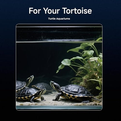 2K HD Turtle Terrarium & Tank WiFi Camera, 140° Wide-Angle Anti-Glare Lens, Night Vision, Two-Way Audio, AI Motion Alerts, 24/7 Recording, Easy Stick-On Install for Pet Turtles
