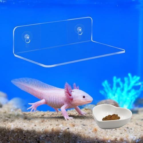 2-in-1 Axolotl Tank Accessories Set, Transparent Acrylic Shelf with Suction Cups and Adhesive Pads, Ceramic Heart Shape Feeding Dish, Food Bowl for Axolotl, Habitat Aquarium Decor