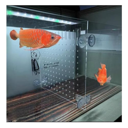 Aquarium Fish Tank Divider, Fish Tank Transparent Isolation Board Acrylic Separation Partition Network Partition Prevent Fish, Turtle Fight Attack Each Clear, - size: 18 X20cm