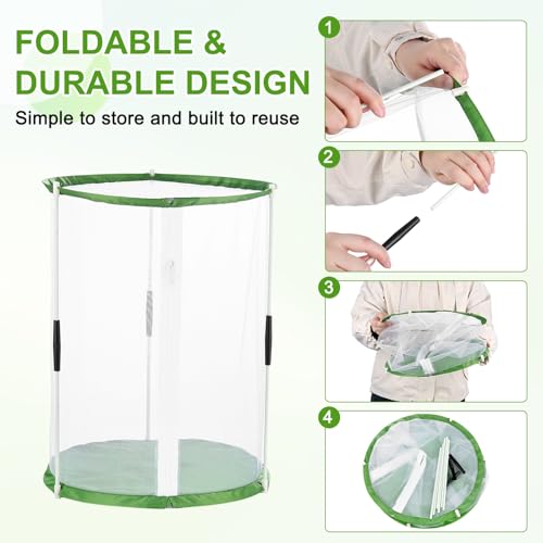 M METERXITY Butterfly Habitat Cage Terrarium, Outdoor Collapsible Mesh Pop-up with Zipper Protection for Breeding Butterfly/Ladybug, Mesh Plant Enclosure [White with Green, 12 x 12 x 16 Inch] - size: 12 x 12 x 16 Inch