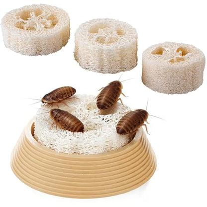 Dubia Roach Water Dish with 3 Luffa Inserts – Feeder Bowl for Dubia Roaches Live, Isopods, Springtails, Crickets & Other Feeder Insects – Reptile Supplies for Terrariums and Enclosures